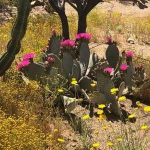 Meet your Posher, Adria